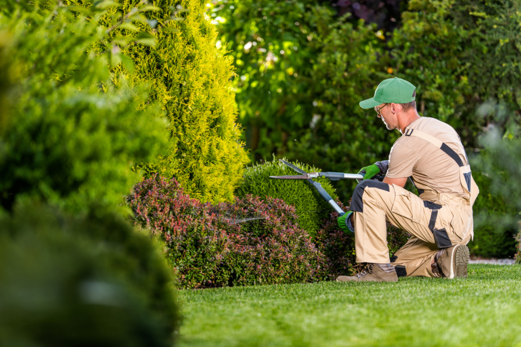 Grounds maintenance